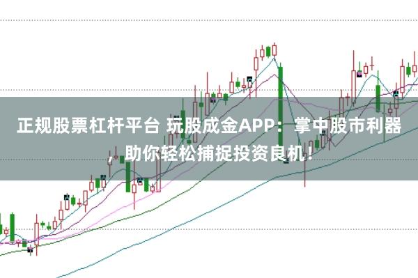 正規股票杠桿平臺 玩股成金APP：掌中股市利器，助你輕松捕捉投資良機！