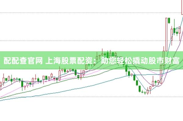 配配查官網 上海股票配資:助您輕松撬動股市財富