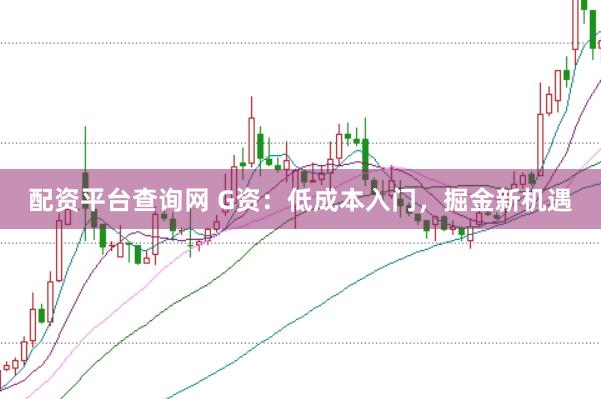 配資平臺查詢網 G資：低成本入門，掘金新機遇