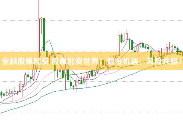 金融股票配資 股票配資世界：掘金機遇，風險共擔！